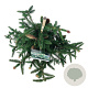 Picea a. 'Acrocona' 30-40 cm 6,5L