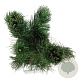 Pinus heldreichii 'Satellit' 50-60 cm 15L