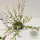 Salix integra 'Hakuro-nishiki' 40-50 cm 2,5L