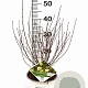 Physocarpus opulif. Tiny Wine Gold 30-50 cm 3,0L