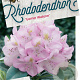 Rhododendron 'Gomer Waterer' 40-50 cm 10L