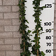Hedera hibernica 150-175 cm 2,0L 3-5 tak