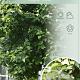 Betula p. 'Youngii' 150 cm stam 10L