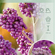 Callicarpa bod. 'Profusion' 90 cm stam 7,5L