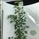 Liquidambar s. 'Worplesdon' 200-225 cm 15L