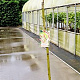 Salix integra 'Hakuro-nishiki' 120 cm stam 5,0L