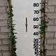 Hedera hel. 'Woerner' 100-125 cm 5,0L