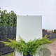 Juniperus pf. 'Pfitzeriana Aurea' 20-25 cm 2,0L