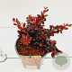 Berberis thunb. 'Atropurpurea Nana' 20-30 cm 2,5L