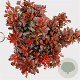 Berberis thunb. 'Bagatelle' 15-20 cm 2,5L