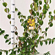 Cornus mas 125-150 cm 10L