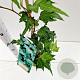 Hedera hel. 'Green Ripple' 70-80 cm rozenpot 2L