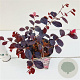 Loropetalum c. Rouge de la Majorie 20-30 cm C1.5