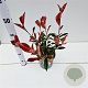 Photinia fraseri 'Robusta Compacta' 30-40 cm 2,5L