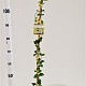 Trachelospermum j. Star of Toscane 100-125 cm 2,5L