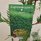 Cupressocyparis leylandii 100-110 cm 3,0L