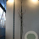 Fagus syl. 'Dawyck Purple' 150-175 cm met kluit