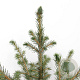 Picea omorika 40-50 cm 3,0L