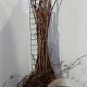 Aesculus hippocastanum 40-60 cm wortelgoed 1/2