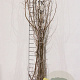 Hippophae rhamnoides 15-30 cm wortelgoed 1/0 