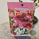 Hydrangea querc. 'Snowflake' 30-40 cm 2,5L