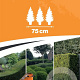 Taxus media 'Hillii' 60-80 cm 4,0L