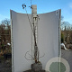 Viburnum bodn. 'Dawn' 150-175 cm met kluit