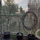 Acer pal. 'Bloodgood' 175-200 cm container meerstammig