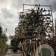 Quercus ilex 10-12 cm container LEIVORM 200 cm stam