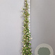 Trachelospermum jasminoides 175-200 cm 7,5L
