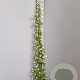 Trachelospermum jasminoides 175-200 cm 7,5L