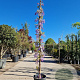 Wisteria brach. 'Okayama' 350-400 cm 25L