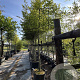Carpinus betulus 16-18 HO cont. 80L 180 cm stam leiboom