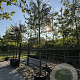 Prunus 'Umineko' 14-16 HO cont. 110L 180 cm stam leiboom