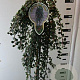 Cotoneaster pr. 'Queen of Carpets' 120 cm stam 7,5L