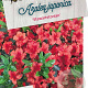 Rhododendron (AJ) 'Stewartstonian' 40-50 cm 10L