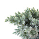 Juniperus squamata 'Blue Star' 20-25 cm 3,0L