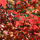 Acer rubrum 'Scanlon' 10-12 HO 35L