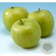 Malus d. 'Granny Smith' 10-12 HA container