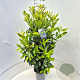 Prunus l. Genolia 100-120 cm 6,5L