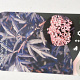 Sambucus nigra Black Lace 30-40 cm 3,0L
