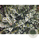 Erica darl. 'White Perfection' 10 cm C1