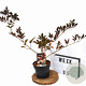 Sambucus nigra 'Thundercloud' 30-40 cm 3,0L potgekweekt