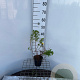 Potentilla f. 'Goldfinger' 30-40 cm C1.3