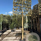 Quercus ilex 180 cm stam container 16-18 lei 180x120