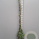 Trachelospermum jasminoides 175-200 cm 10L