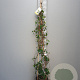 Trachelospermum j. Star of Toscane 180 cm 9L piramide