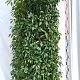 Prunus l. 'Angustifolia' 200-225 cm draadkluit extra