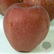 Malus d. 'Red Delicious' 10-12 HA container