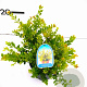 Ilex crenata 'Golden Gem' 20-25 cm 2,0L